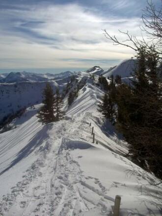 Der Weg zum Ziel