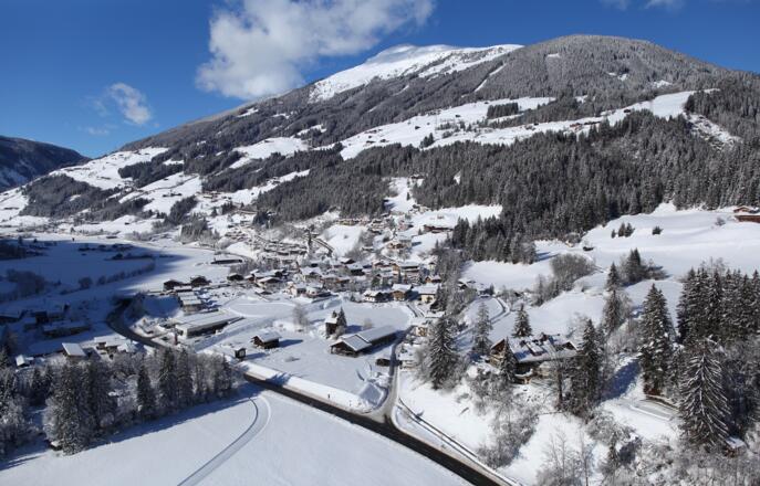 Wald im Pinzgau