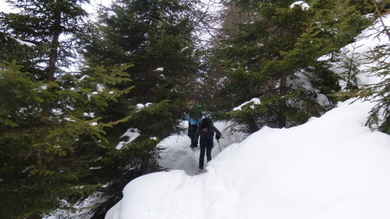 Abenteuerlich durch die Wälder