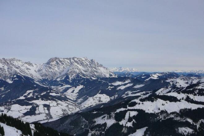Ausblick