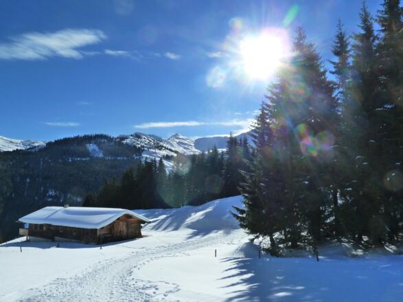 Breitfuss Grundalm