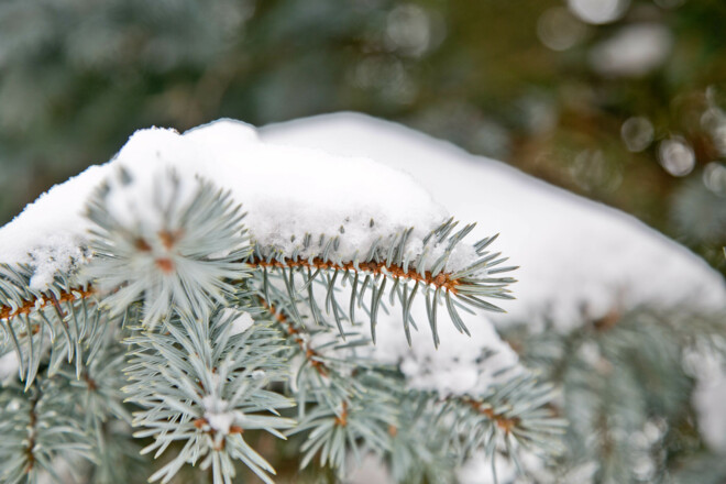 Winterimpression