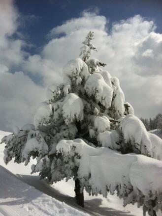 Skitour Hahnbaum