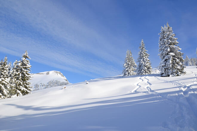 Tief verschneite Winterlandschaft