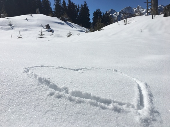 Skitour Hahnbaum