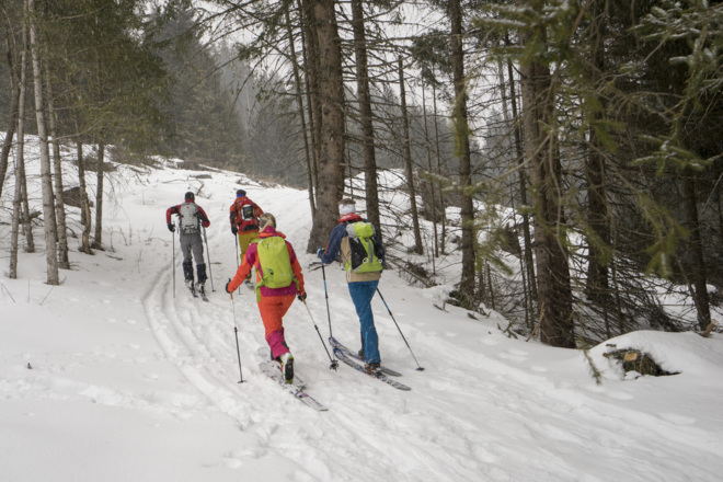 Im unteren Teil kommt man immer wieder in den Wald.