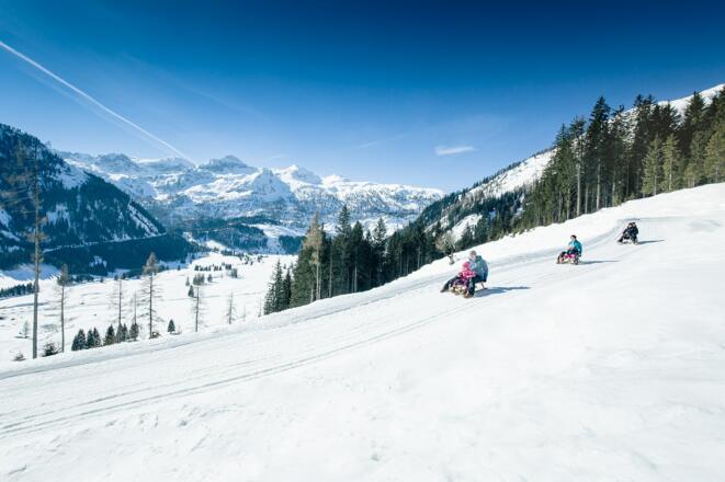 Rodelbahn Gnadenalm