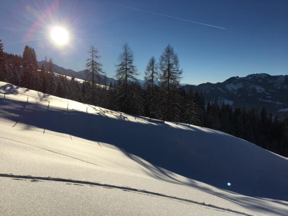 Skitour Hahnbaum