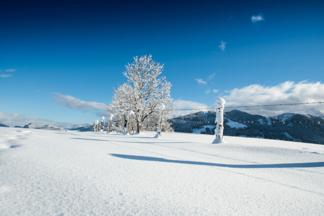 Winteridylle