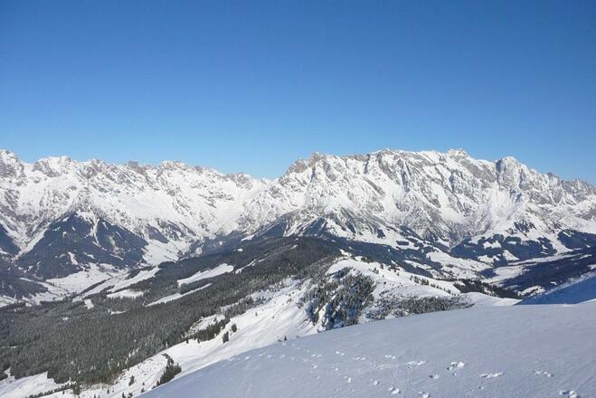 Ausblick