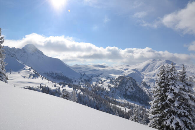 Winterpanorama