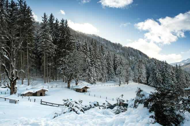 Streichelzoo beim Sattelbauer im Winter