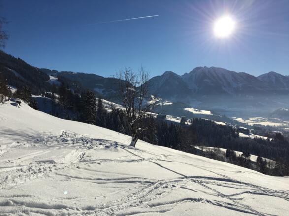 Skitour Hahnbaum