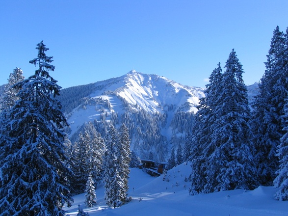 Krinnenalpe 1530 M