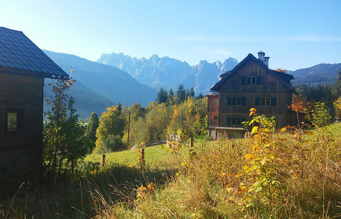 Blick über Gosau auf den Gosaukamm