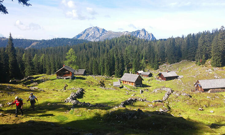 Hohe Schartenalm