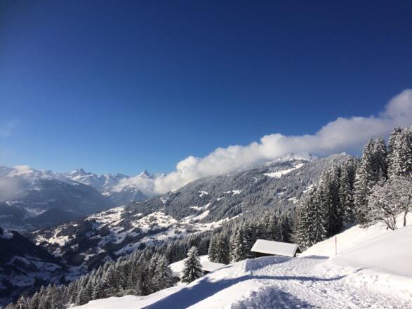 Ausblick von der Schneeschuhroute