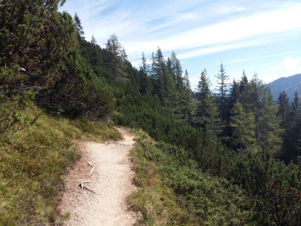 Höhenweg in Richtung Stegmoosalm