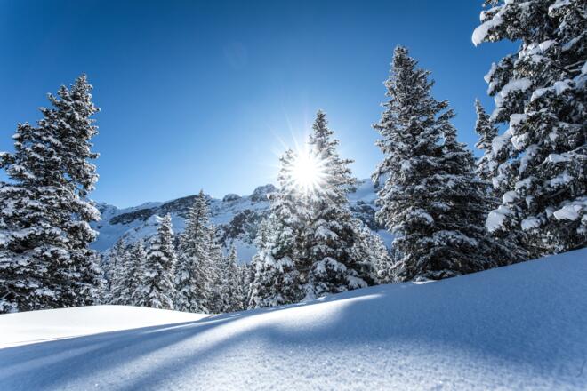 Winterlandschaft Gauertal