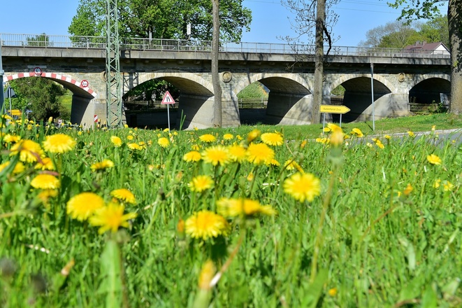 Eisenbahnbrücke im Dorfteich von Grobau