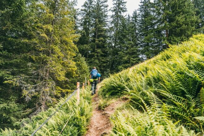 Abstieg Klettersteig Röbischlucht