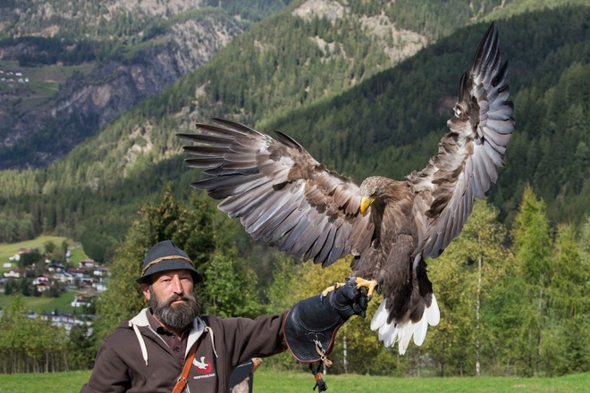 Greifvogelpark Umhausen