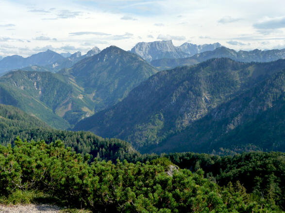 Blick zu den Berggipfeln im Gesäuse