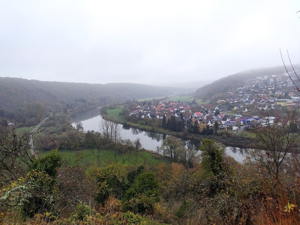Blick auf den Main-W5