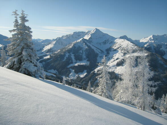 Blick in Richtung Galtenberg