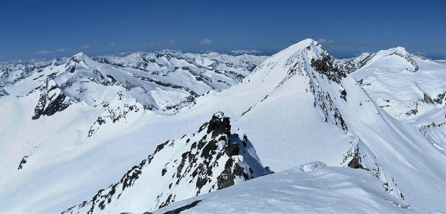 Großer Geiger vom Großen Happ