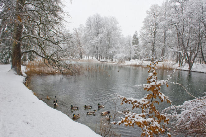 Matzenpark im Winter