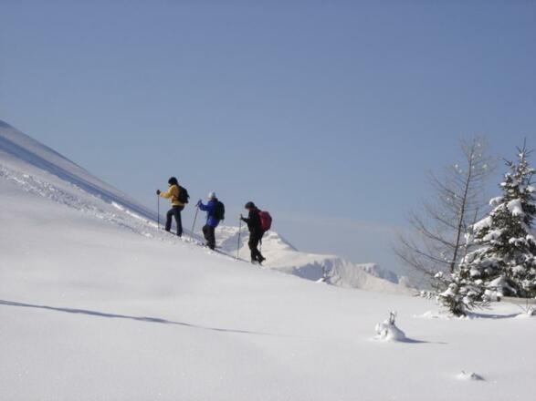 Schneeschuhwandern