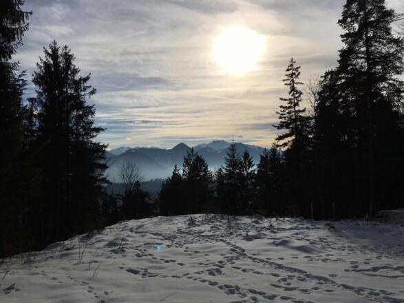Weg zum Berglsteinersee