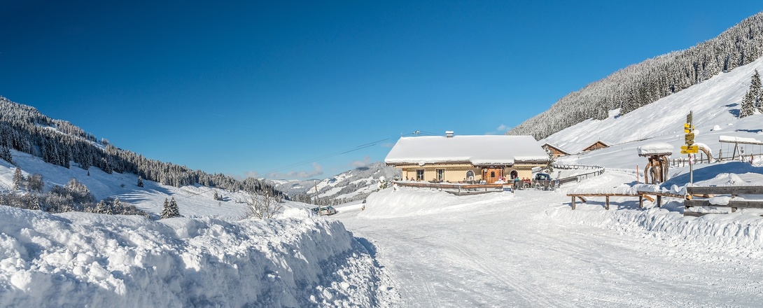 Schönangeralm Wildschöönau
