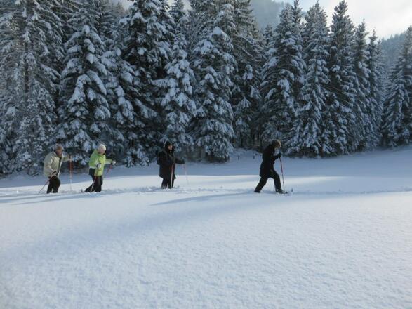 Schneeschuhwandern Brandenberg