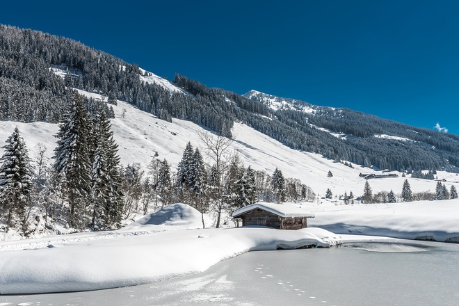 Teich bei der Schönangeralm Wildschönau