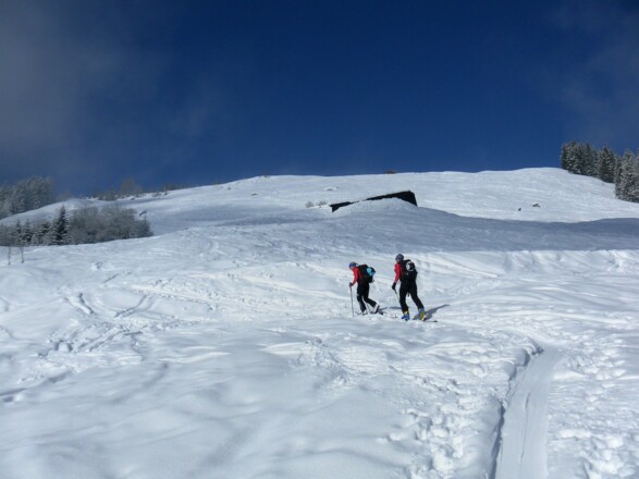Untere Steinbergalm