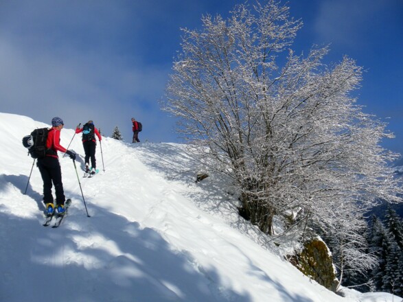 Hochwinter