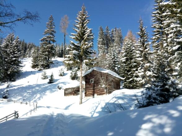Jagdhütte