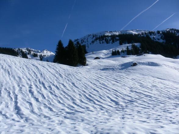 Scheibenschlag Niederalm