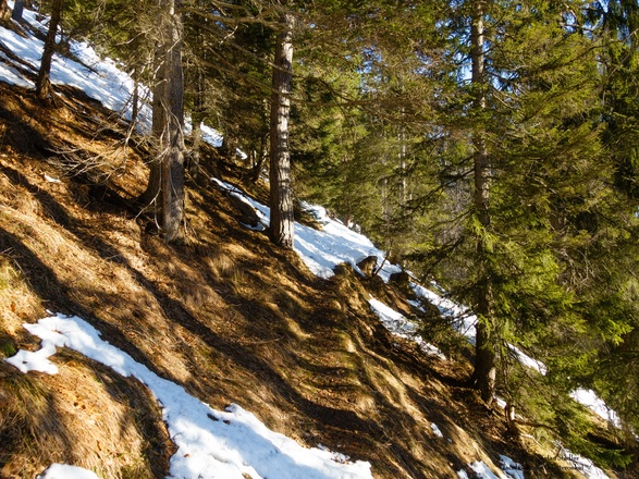 entlang eines Weges östlich (rechts) vom Rücken aufsteigen