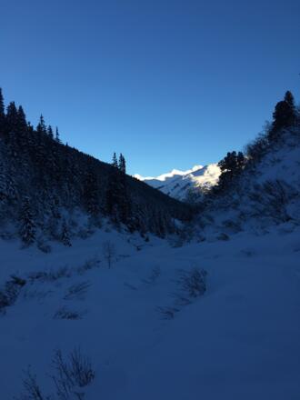 Abendlicher Blick durchs Verwall