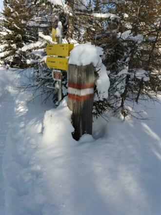 Fahrweg Esseralm, Abzweigung Richtung Teuerlnock.