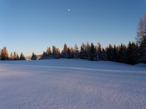 Auf dem Gipfelkuppen-Rundgang der Schöngelitze, 1812 m.
