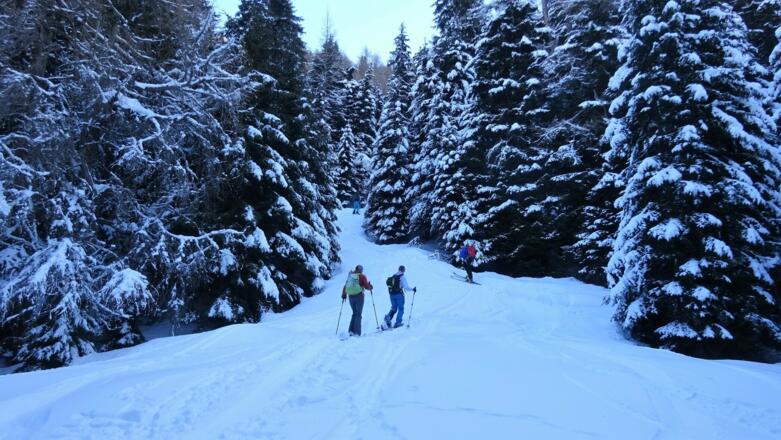 ... und über Waldschneisen ...