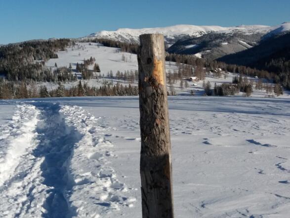 Unser nächstes Ziel: Schöngelitzehöhe, 1812 m.