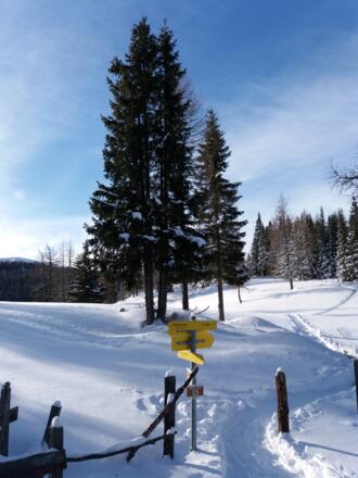 Zweite Abzweigung_Samstag, 30. Dezember 2017 09:55:39