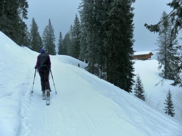 Ehenbichler Alpe