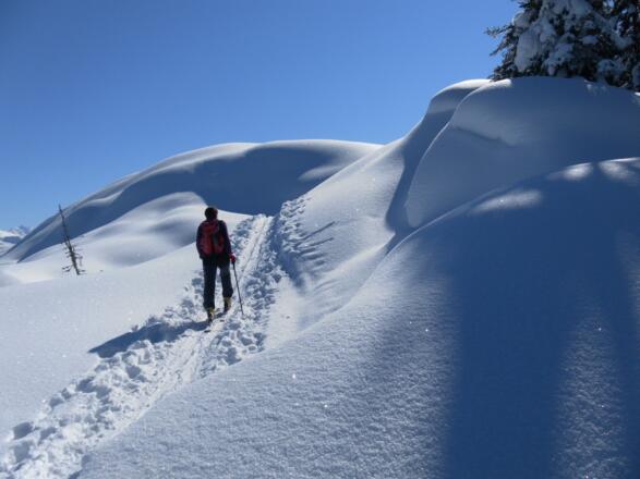 entspannendes Winterwandern