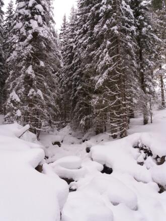 Unterhalb der Kocheralm sieht es aus, als ginge es nicht mehr weiter.